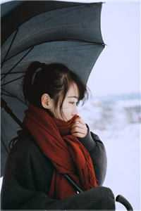 侯府表妹攀高枝失败后 作者：七寸浮山 [日常, 打脸, 天作之合, 天降, 先婚后爱, 朝堂]