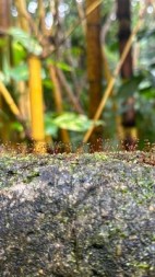 九重试炼(天衣无缝的白金堂)阅读(天衣无缝的白金堂) - 九重试炼(天衣无缝的白金堂)阅读全文在线阅读 - 九重试炼(天衣无缝的白金堂)阅读最新章节 - 奏决网