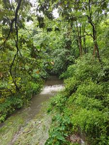 白眼狼女儿，我不要了！+后续(文武废材) - 白眼狼女儿，我不要了！+后续全文在线阅读 - 白眼狼女儿，我不要了！+后续最新章节 - 奏决网