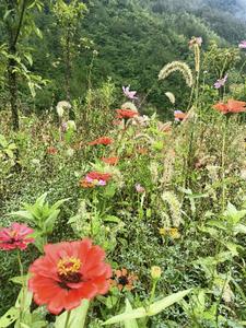 同学回忆录后续+番外(浮光美影) - 同学回忆录后续+番外全文在线阅读 - 同学回忆录后续+番外最新章节 - 奏决网