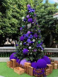 谈一场限定恋爱+后续(木子六六) - 谈一场限定恋爱+后续全文在线阅读 - 谈一场限定恋爱+后续最新章节 - 奏决网