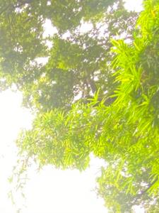 漫漫已没有感觉(吉财辣)阅读(吉财辣) - 漫漫已没有感觉(吉财辣)阅读全文在线阅读 - 漫漫已没有感觉(吉财辣)阅读最新章节 - 奏决网