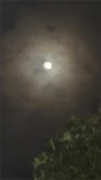 老公出轨后我让他人财两空后续+番外(笼屉里的暖雪) - 老公出轨后我让他人财两空后续+番外全文在线阅读 - 老公出轨后我让他人财两空后续+番外最新章节 - 奏决网