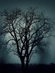 妖恋奇缘后续+番外(赚钱养慕慕) - 妖恋奇缘后续+番外全文在线阅读 - 妖恋奇缘后续+番外最新章节 - 奏决网