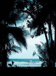 妻子挂断我最后的求救电话阅读(宋夕颜) - 妻子挂断我最后的求救电话阅读全文在线阅读 - 妻子挂断我最后的求救电话阅读最新章节 - 奏决网