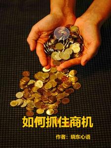 如何抓住商机(晓东心语)(晓东心语) - 如何抓住商机(晓东心语)全文在线阅读 - 如何抓住商机(晓东心语)最新章节 - 奏决网