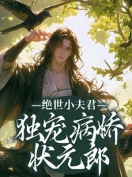 绝世小夫君独宠病娇状元郎