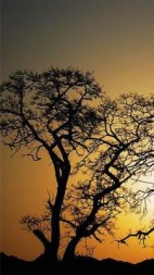 十年无痕许芸(灯光下) - 十年无痕许芸全文在线阅读 - 十年无痕许芸最新章节 - 奏决网