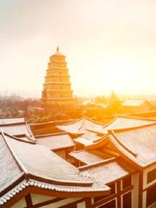 梦境中的灵魂之旅贾宝玉林黛玉阅读(爱吃法棒的岳红伟) - 梦境中的灵魂之旅贾宝玉林黛玉阅读全文在线阅读 - 梦境中的灵魂之旅贾宝玉林黛玉阅读最新章节 - 奏决网