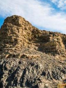 梦境的启示：取经路上的试炼阅读(爱吃法棒的岳红伟) - 梦境的启示：取经路上的试炼阅读全文在线阅读 - 梦境的启示：取经路上的试炼阅读最新章节 - 奏决网