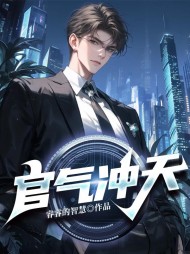 官气冲天陆青云陈敏娴无弹窗