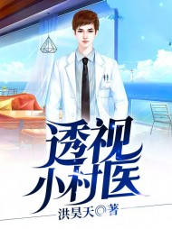 透视小村医洪昊天著阅读