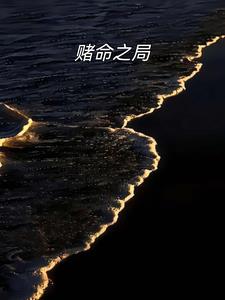 赌命之局江昊精彩(捕快小鱼) - 赌命之局江昊精彩全文在线阅读 - 赌命之局江昊精彩最新章节 - 奏决网