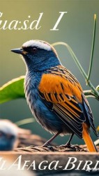 假如我是一只鸟阅读(亿只朱) - 假如我是一只鸟阅读全文在线阅读 - 假如我是一只鸟阅读最新章节 - 奏决网