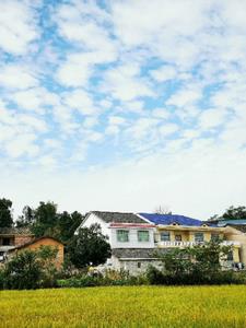 参加生活综艺，我捧杀爹味大厨(下班不逗刘女士) - 参加生活综艺，我捧杀爹味大厨全文在线阅读 - 参加生活综艺，我捧杀爹味大厨最新章节 - 奏决网