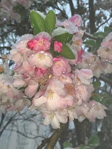 午夜航班林娜阅读(倚枕闲眠) - 午夜航班林娜阅读全文在线阅读 - 午夜航班林娜阅读最新章节 - 奏决网