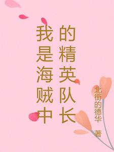 我是海贼中的精英队长
