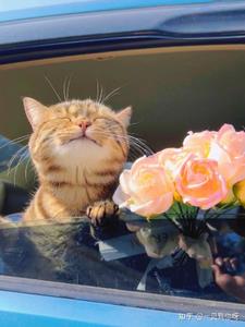 哥哥欠下赌债，爸妈却要我填坑阅读(Speculator) - 哥哥欠下赌债，爸妈却要我填坑阅读全文在线阅读 - 哥哥欠下赌债，爸妈却要我填坑阅读最新章节 - 奏决网