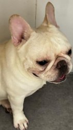 世间再无钱多多阅读(92杨柳青) - 世间再无钱多多阅读全文在线阅读 - 世间再无钱多多阅读最新章节 - 奏决网