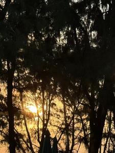 青衿之志，今已达愿(双楠)阅读(长离未归) - 青衿之志，今已达愿(双楠)阅读全文在线阅读 - 青衿之志，今已达愿(双楠)阅读最新章节 - 奏决网