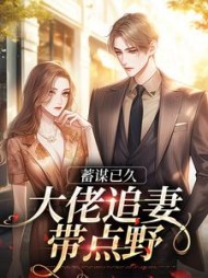 主角是黎惊宴战驰野的