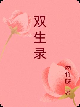 双生录