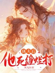 休夫后，他死缠烂打(风飞沙) - 休夫后，他死缠烂打全文在线阅读 - 休夫后，他死缠烂打最新章节 - 奏决网