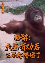 西游：大圣听劝后，三界都懵逼了(爱喝淡盐水) - 西游：大圣听劝后，三界都懵逼了全文在线阅读 - 西游：大圣听劝后，三界都懵逼了最新章节 - 奏决网