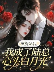 车祸死后，我成了陆总心头白月光(傅大川) - 车祸死后，我成了陆总心头白月光全文在线阅读 - 车祸死后，我成了陆总心头白月光最新章节 - 奏决网
