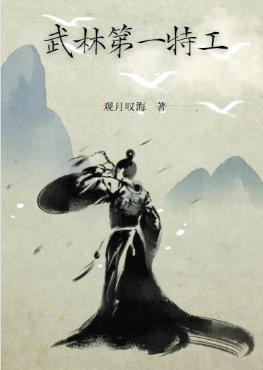 武林第一特工