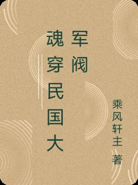 魂穿民国大军阀