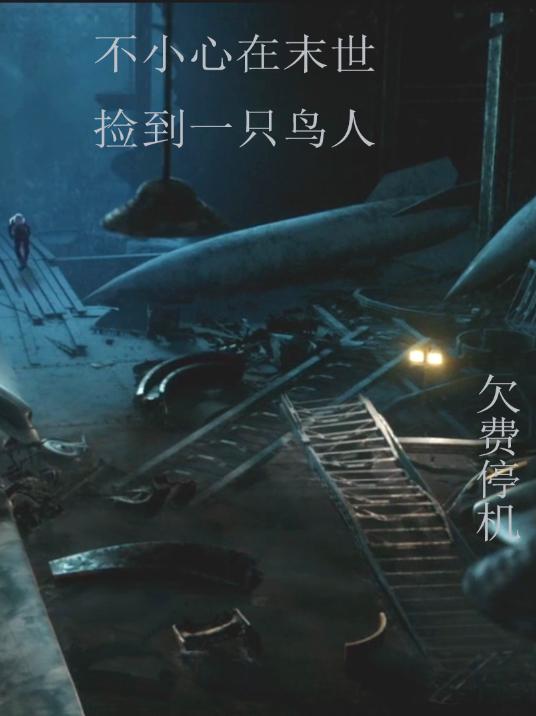 不小心在末世捡到一只鸟人