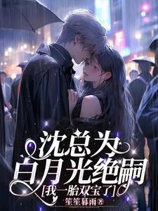 沈总为白月光绝嗣，我一胎双宝了