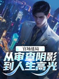 官场迷局：从审查阴影到人生高光最新