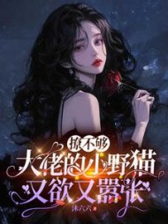 撩不够，大佬的小野猫又欲又嚣张阅读