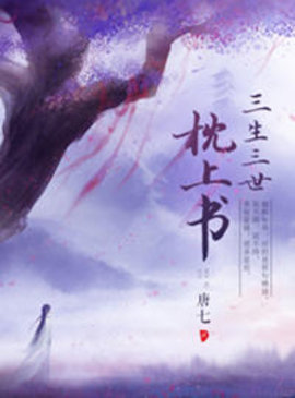三生三世枕上书番外
