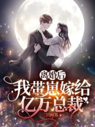 离婚后，我带崽嫁给亿万总裁