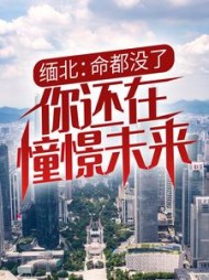 缅北：命都没了，你还在憧憬未来？阅读