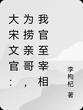 大宋文官：为捞亲哥，我官至宰相