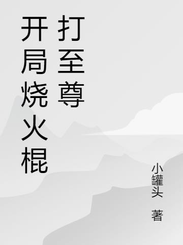 开局烧火棍打至尊
