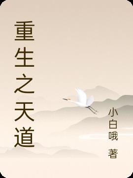 重生之天道