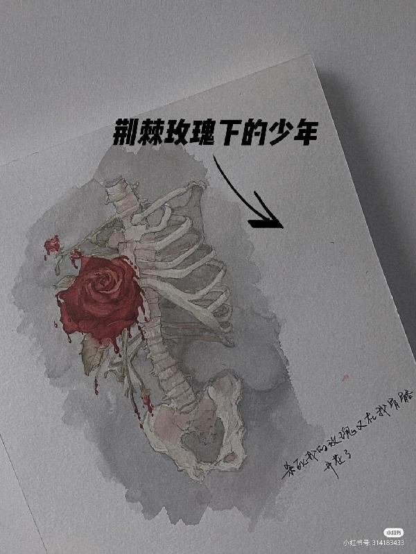 荆棘玫瑰下的少年