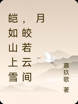 皑如山上雪，皎若云间月