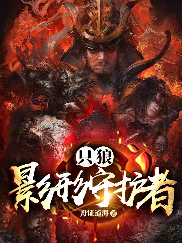 只狼：影形守护者