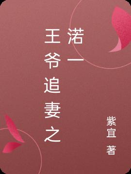 王爷追妻之渃一