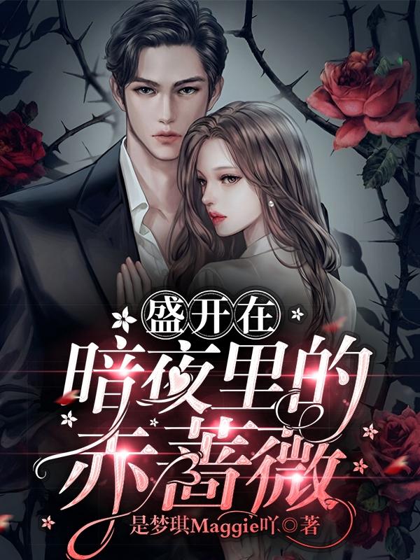 盛开在暗夜里的赤蔷薇