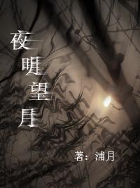 夜明望月