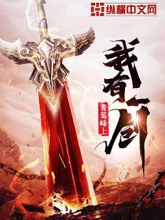 叶观纳兰迦小说