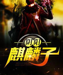 阴阳麒麟子小说