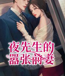 赫晚晚夜昱霆小说